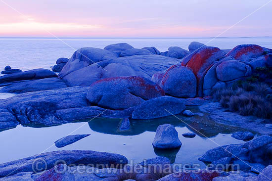 Trousers Point Flinders Island Tasmania photo Trousers Point Flinders Island Tasmania photo