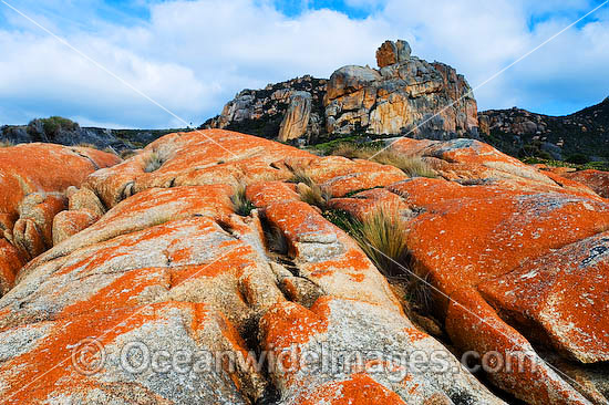 Flinders Island Tasmania photo Flinders Island Tasmania photo