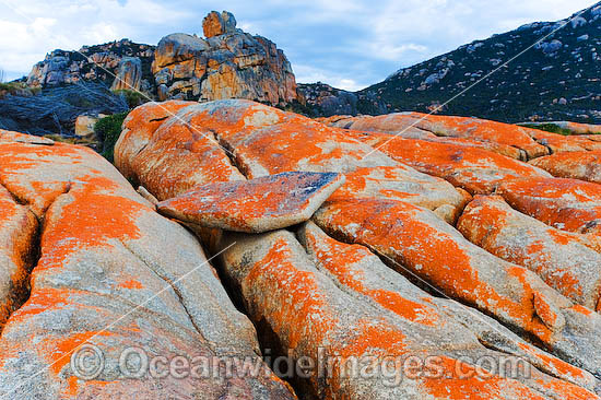 The Dock Flinders Island Tasmania photo The Dock Flinders Island Tasmania photo