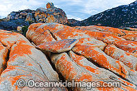The Dock Flinders Island Tasmania Photo - Gary Bell