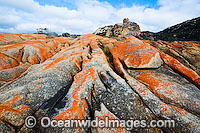 The Dock Flinders Island Photo - Gary Bell