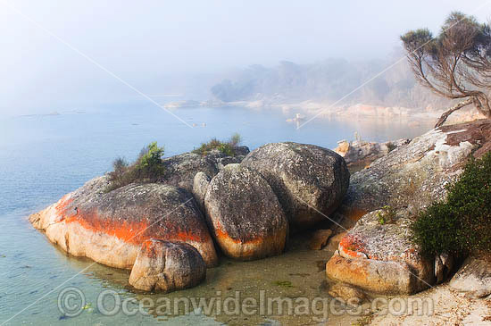 Flinders Island coastline Tasmania photo Flinders Island coastline Tasmania photo