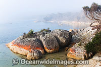 Flinders Island coastline Tasmania Photo - Gary Bell