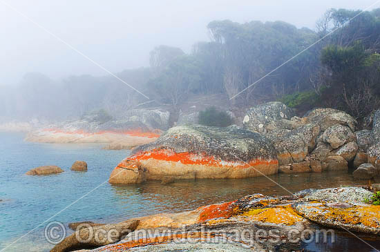 Flinders Island coastline Tasmania photo Flinders Island coastline Tasmania photo