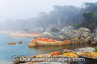 Flinders Island coastline Tasmania Photo - Gary Bell