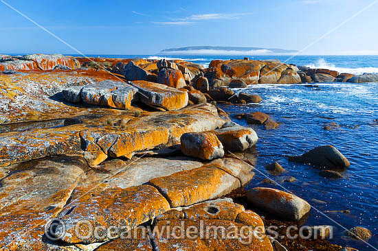 Holloway Point Flinders Island photo Holloway Point Flinders Island photo