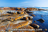 Holloway Point Flinders Island Photo - Gary Bell