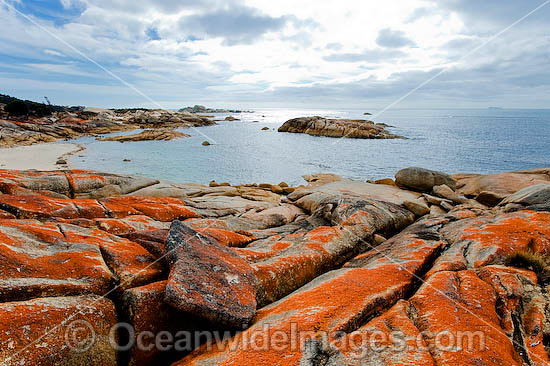 The Dock Flinders Island photo The Dock Flinders Island photo