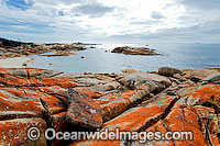 The Dock Flinders Island Photo - Gary Bell