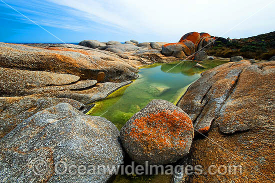 Trousers Point Flinders Island photo Trousers Point Flinders Island photo