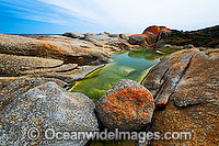 Trousers Point Flinders Island Photo - Gary Bell