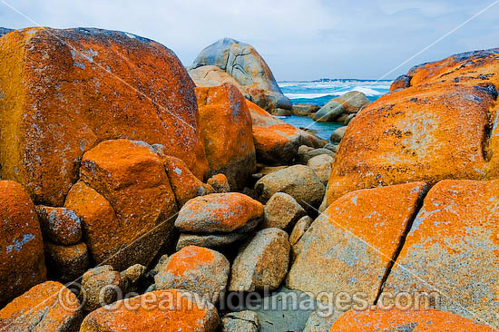 Holloway Point Flinders Island photo Holloway Point Flinders Island photo