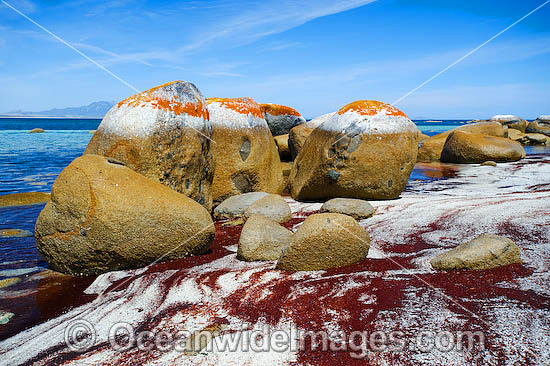 Flinders Island photo Flinders Island photo