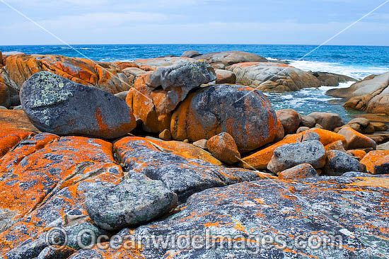 Flinders Island photo Flinders Island photo