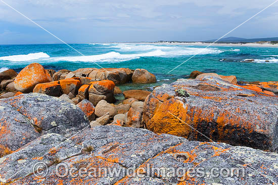 Flinders Island Tasmania photo Flinders Island Tasmania photo