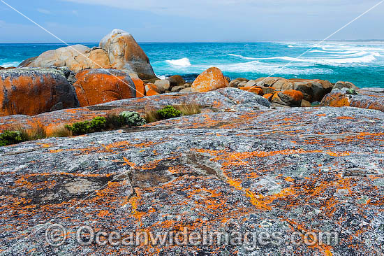 Flinders Island Tasmania photo Flinders Island Tasmania photo