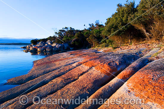 Yellow Beach Tasmania photo Yellow Beach Tasmania photo