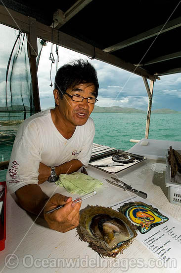Oyster Pearl farming photo