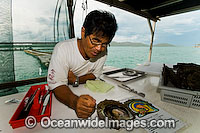 Oyster Pearl farming Photo - Gary Bell