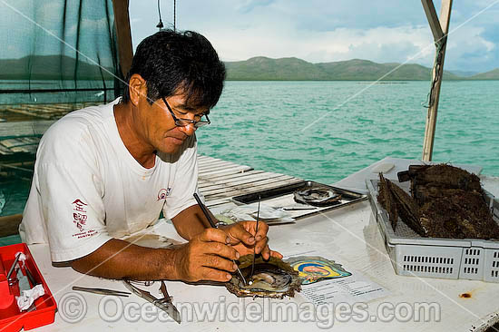 Oyster Pearl farming photo Oyster Pearl farming photo