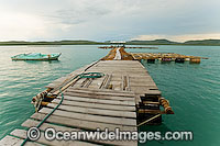 Oyster Pearl farm jetty Photo - Gary Bell
