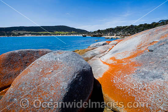 Flinders Island Tasmania photo Flinders Island Tasmania photo
