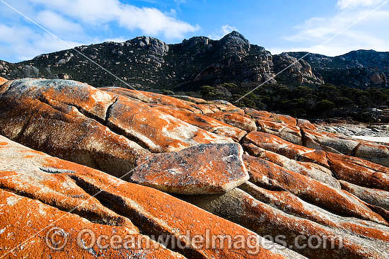 Trousers Point Flinders Island photo Trousers Point Flinders Island photo