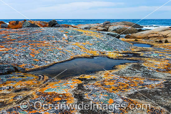 Holloway Point Flinders Island Tasmania photo Holloway Point Flinders Island Tasmania photo