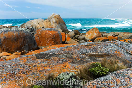 Flinders Island Tasmania photo Flinders Island Tasmania photo
