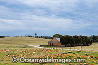 Wybalenna Chapel Flinders Island Photo - Gary Bell