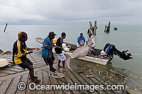 Dugong traditional hunting rights Photo - Gary Bell