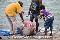 Dugong traditional hunting rights Photo - Gary Bell