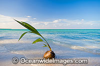 Tropical beach Cocos Islands Photo - Gary Bell