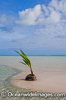 Tropical beach Cocos Islands Photo - Gary Bell