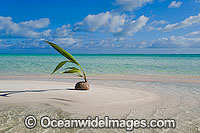 Tropical beach Cocos Islands Photo - Gary Bell