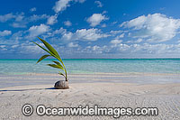 Tropical beach Cocos Islands Photo - Gary Bell