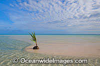 Tropical beach Cocos Islands Photo - Gary Bell
