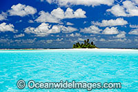 island coconut palms Photo - Gary Bell