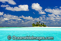 Tropical island coconut palms Photo - Gary Bell
