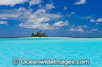 Tropical island coconut palms Photo - Gary Bell