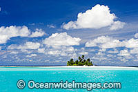 Tropical island coconut palms Photo - Gary Bell