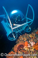 Submarine coral reef Photo - Andy Murch