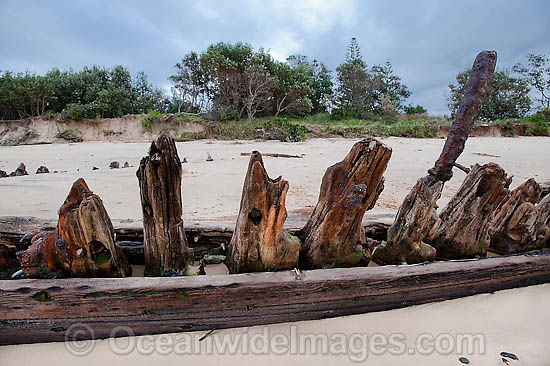Buster Shipwreck photo Buster Shipwreck photo