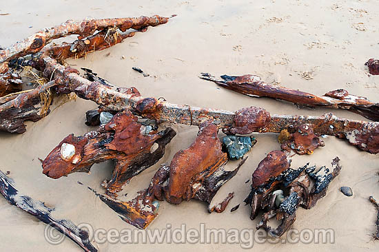 Shipwreck Buster photo