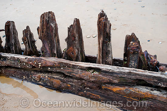 Shipwreck Woolgoolga photo