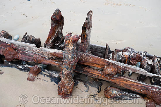 Buster Shipwreck photo Buster Shipwreck photo
