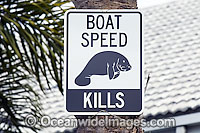Florida Manatee Sign Photo - Michael Patrick O'Neill