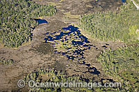 Aerial of Crystal River Florida Photo - Michael Patrick O'Neill