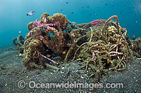 Garbage on Coral Reef Photo - Michael Patrick O'Neill