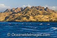 Komodo Island Photo - Michael Patrick O'Neill